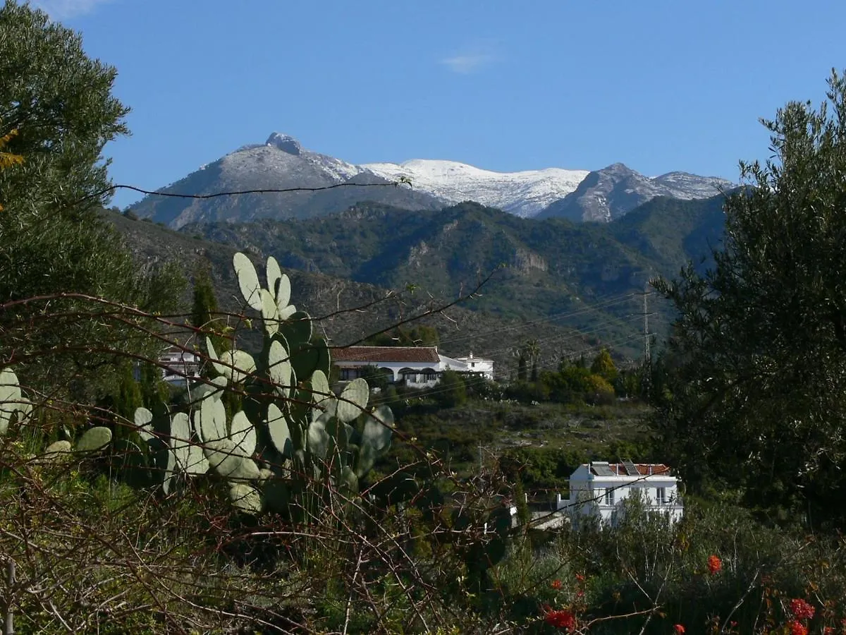 Ferienhaus Finca Guay Frigiliana