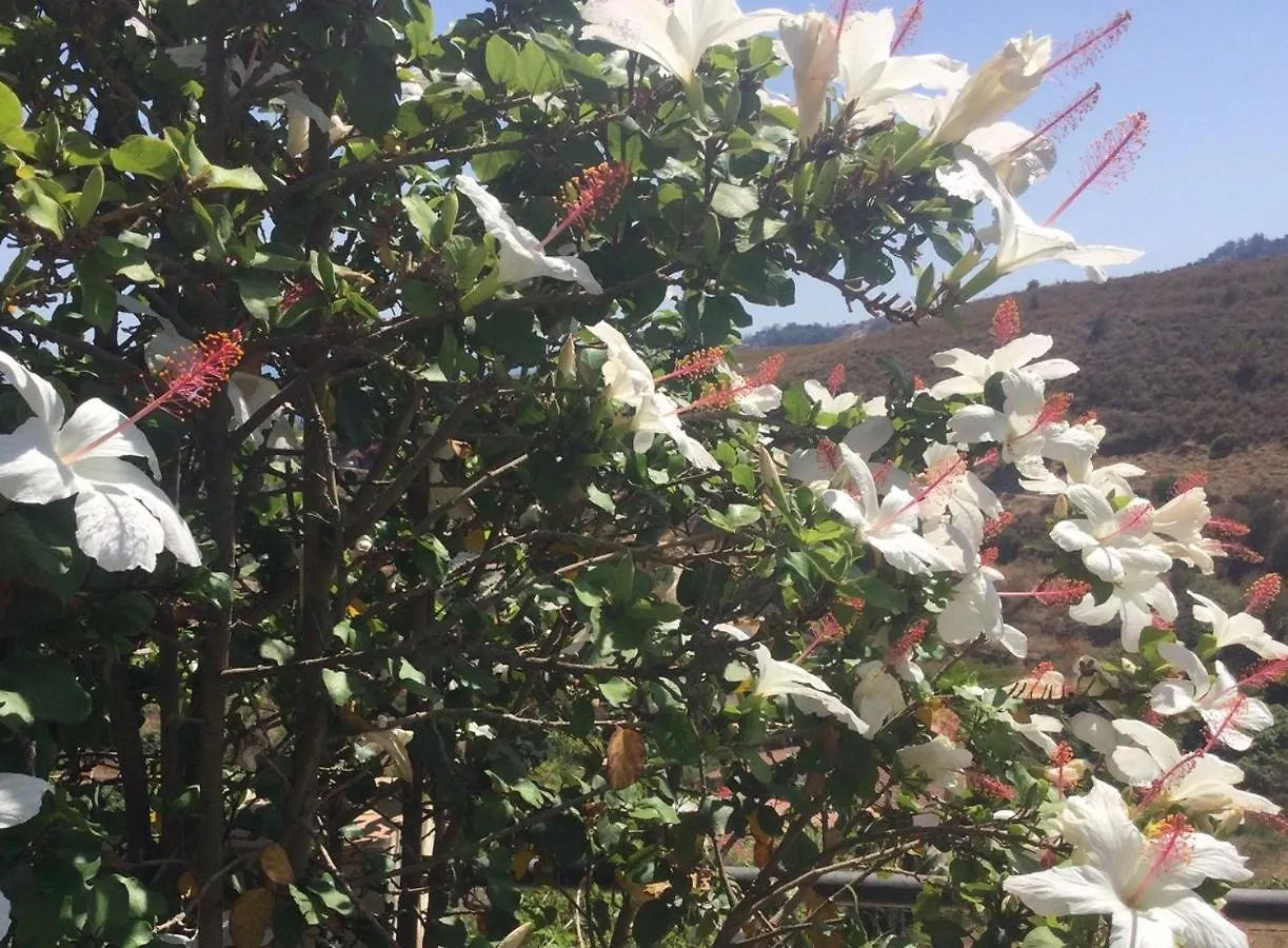 Сasa de vacaciones Finca Guay Frigiliana