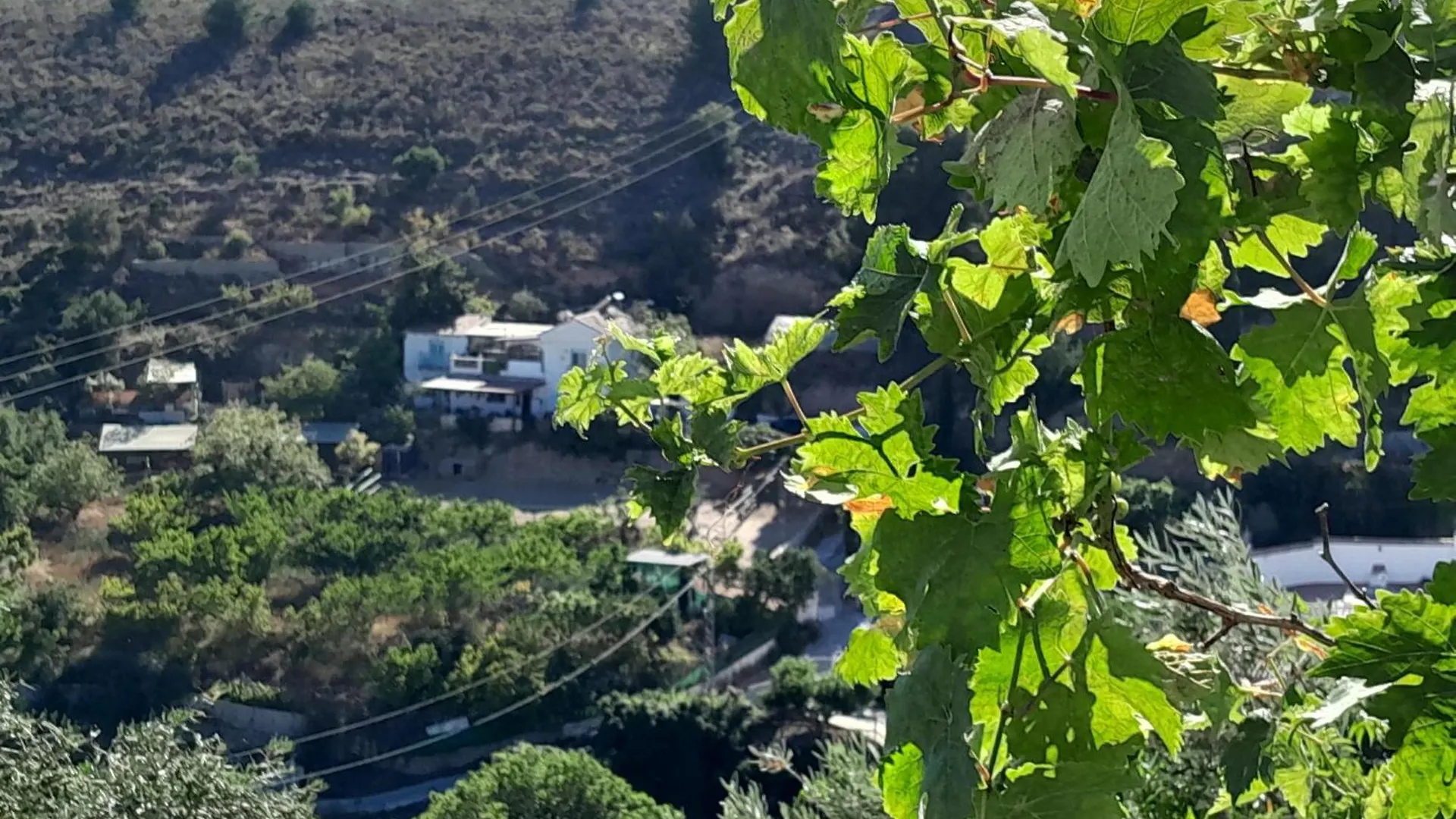 Finca Guay Frigiliana